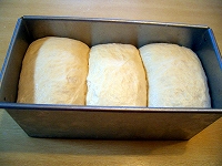 天然酵母パン 最終発酵完了