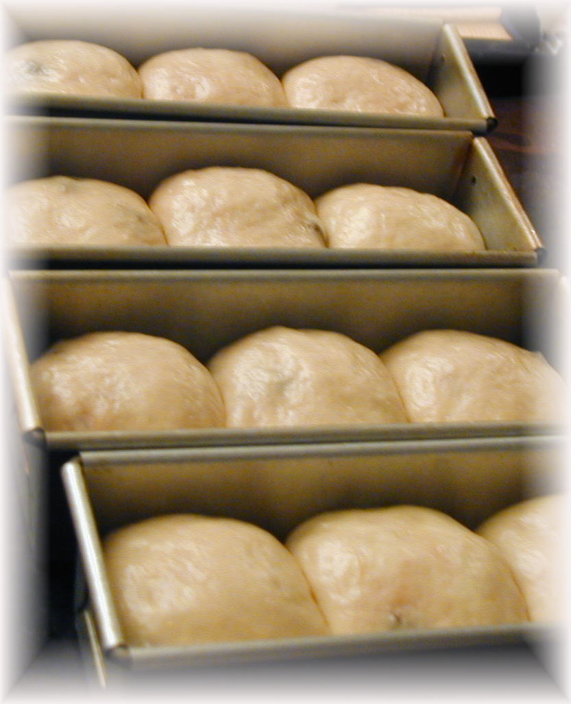 天然酵母パン 歴史
